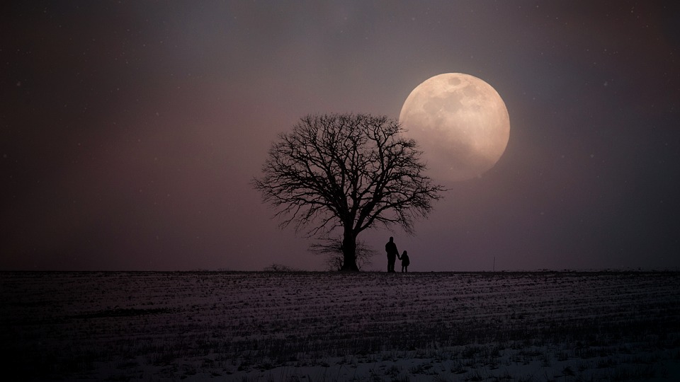 homme et nature