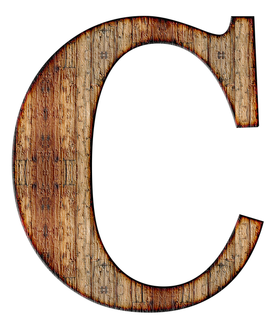 Que devez-vous savoir sur le langage C ?